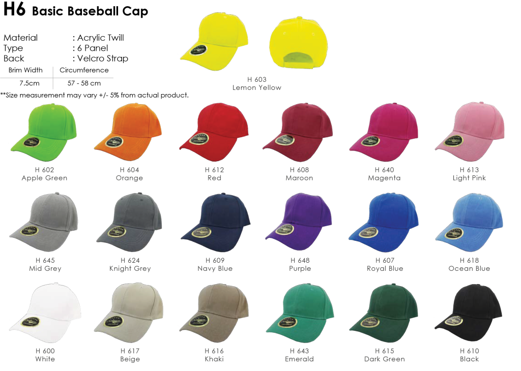 Visual(2)